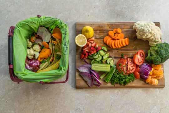 Food recycling for apartments_open caddy_website_x540